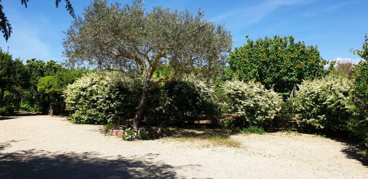 "Sa Domo De Sos Aranzos" Villa Santa Maria la Palma Bagian luar foto