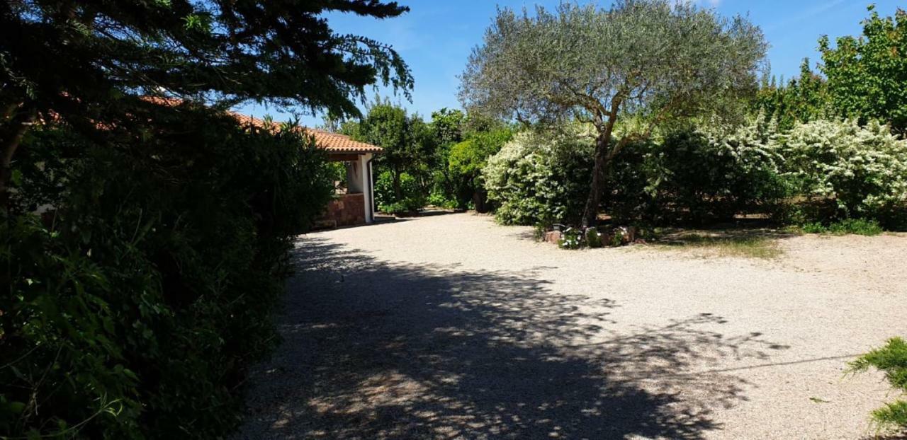"Sa Domo De Sos Aranzos" Villa Santa Maria la Palma Bagian luar foto
