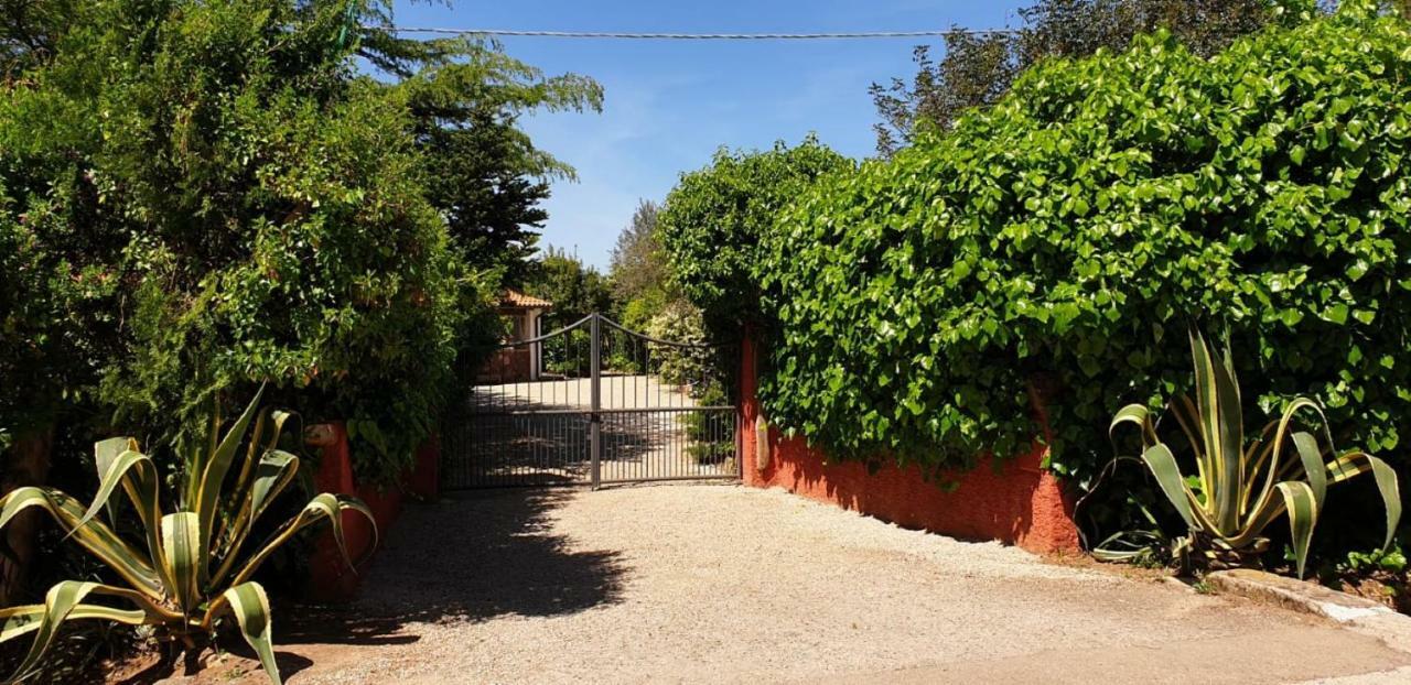 "Sa Domo De Sos Aranzos" Villa Santa Maria la Palma Bagian luar foto